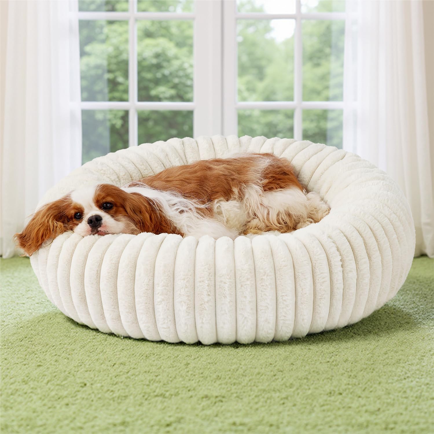 Donut Medium Dog Bed - Washable Faux Fur with Corduroy Fleece & anti Slip Bottom, round Pet Bed with Removable Cover, Cream, 30X30X8 Inches