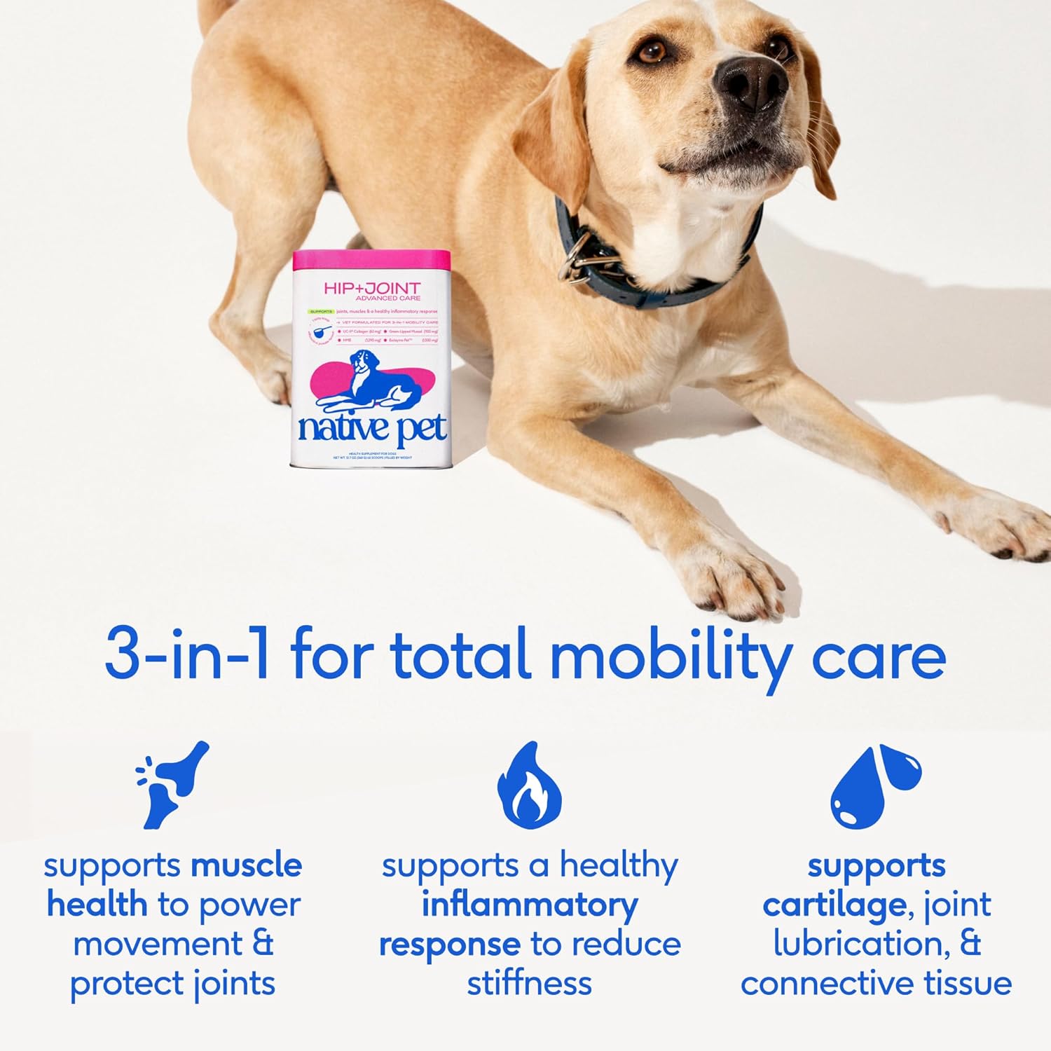Advanced Care - Hip & Joint Supplement for Dogs - Supports Joints, Cartilage, Muscles & Anti-Inflammatory with HMB, UC-II Collagen, Green Lipped Mussel & Hyaluronic Acid - 30 Scoops