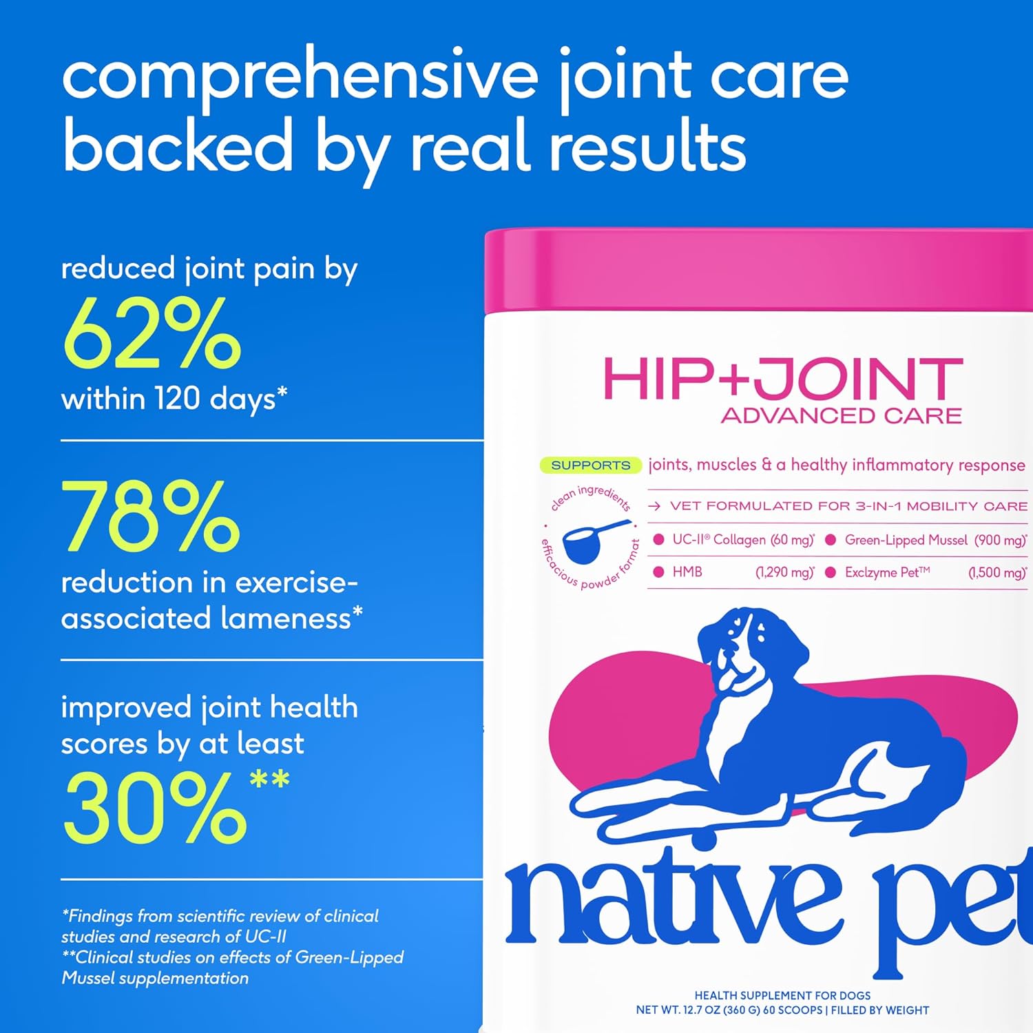 Advanced Care - Hip & Joint Supplement for Dogs - Supports Joints, Cartilage, Muscles & Anti-Inflammatory with HMB, UC-II Collagen, Green Lipped Mussel & Hyaluronic Acid - 30 Scoops