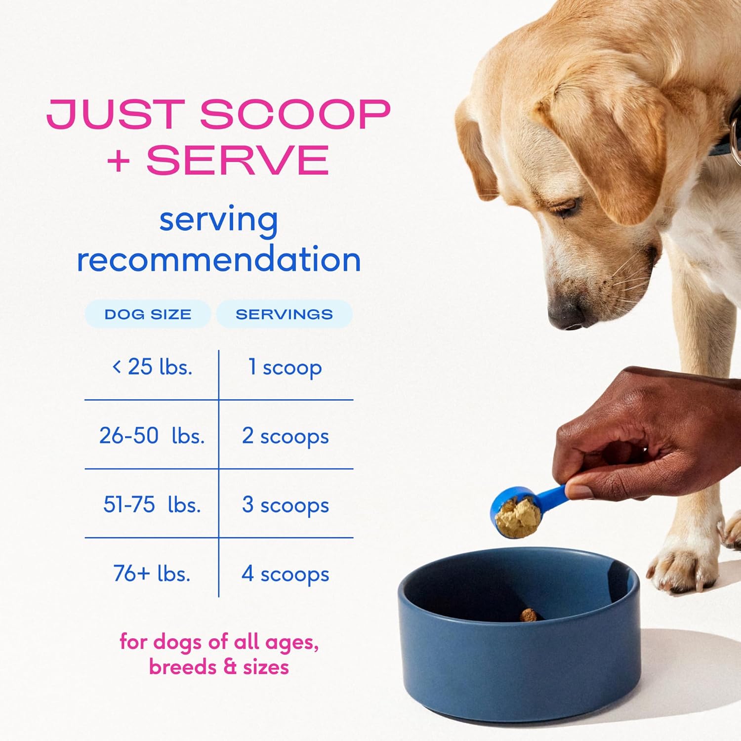 Advanced Care - Hip & Joint Supplement for Dogs - Supports Joints, Cartilage, Muscles & Anti-Inflammatory with HMB, UC-II Collagen, Green Lipped Mussel & Hyaluronic Acid - 30 Scoops