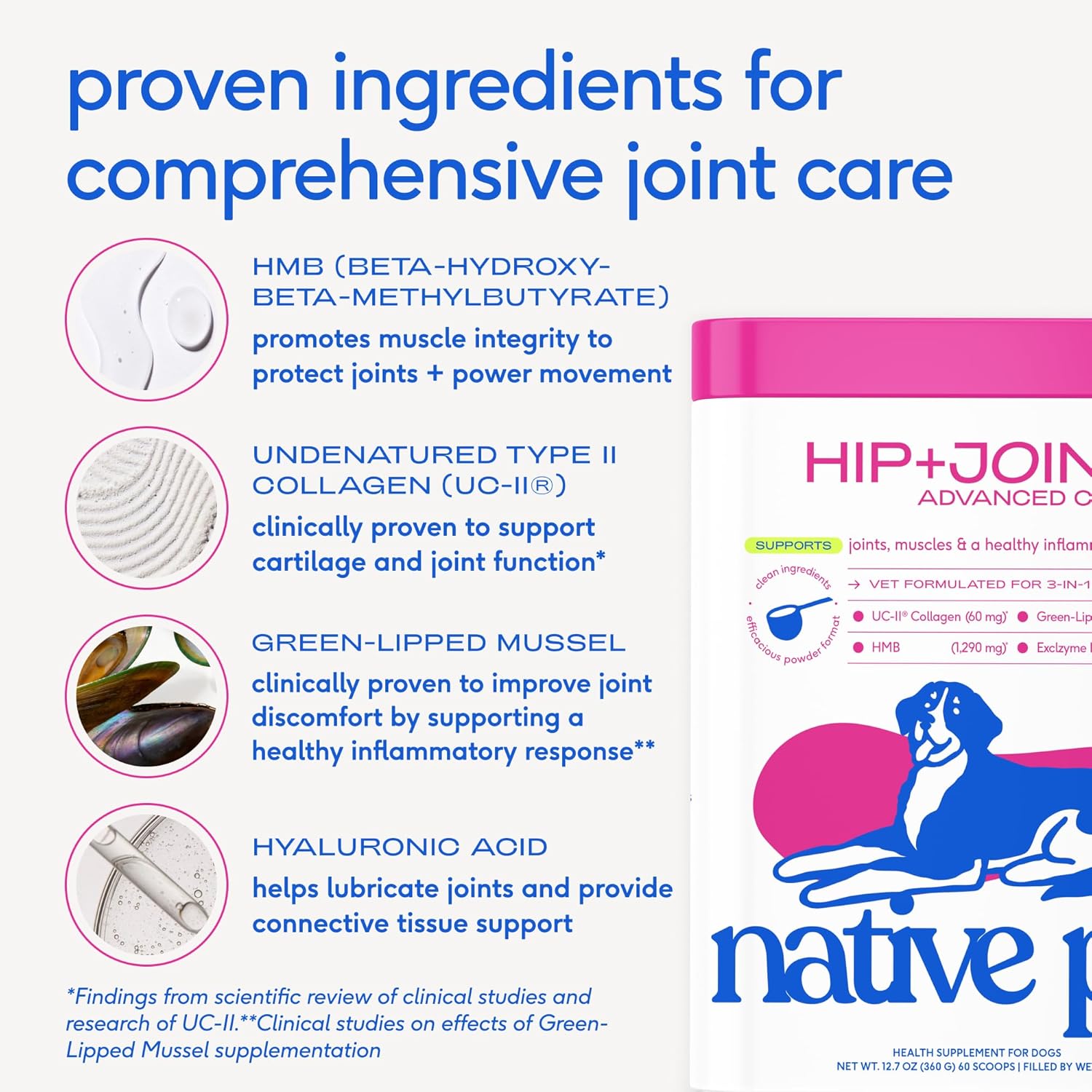 Advanced Care - Hip & Joint Supplement for Dogs - Supports Joints, Cartilage, Muscles & Anti-Inflammatory with HMB, UC-II Collagen, Green Lipped Mussel & Hyaluronic Acid - 30 Scoops