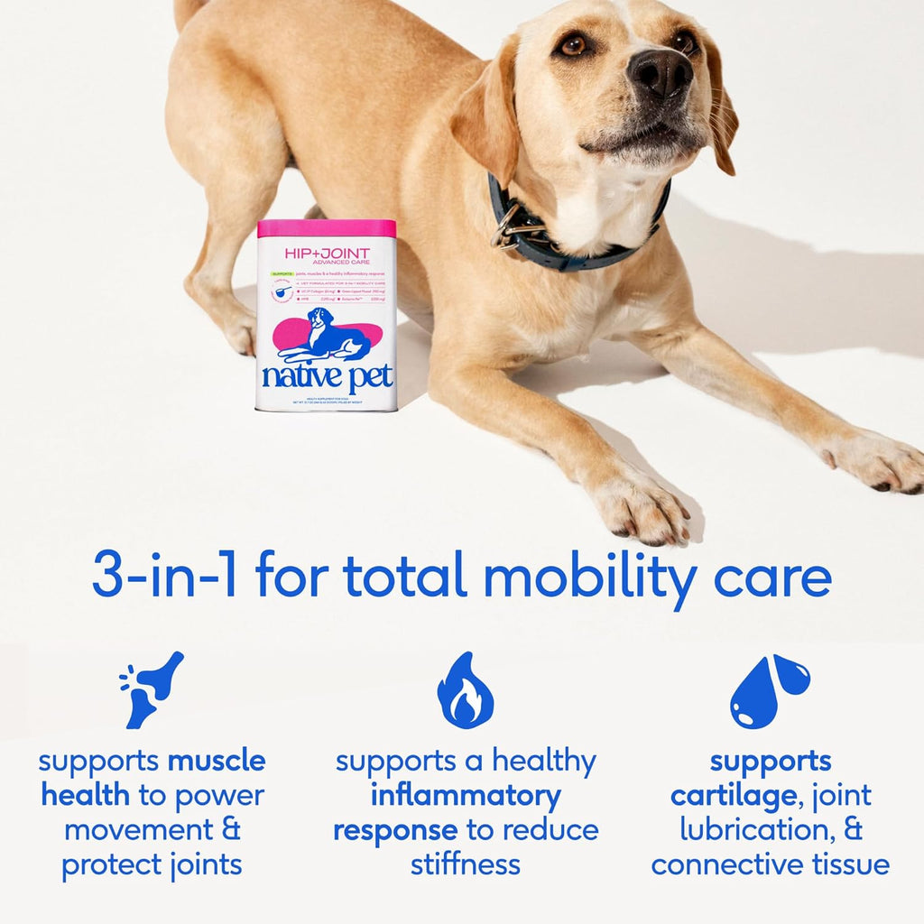 Advanced Care - Hip & Joint Supplement for Dogs - Supports Joints, Cartilage, Muscles & Anti-Inflammatory with HMB, UC-II Collagen, Green Lipped Mussel & Hyaluronic Acid - 30 Scoops