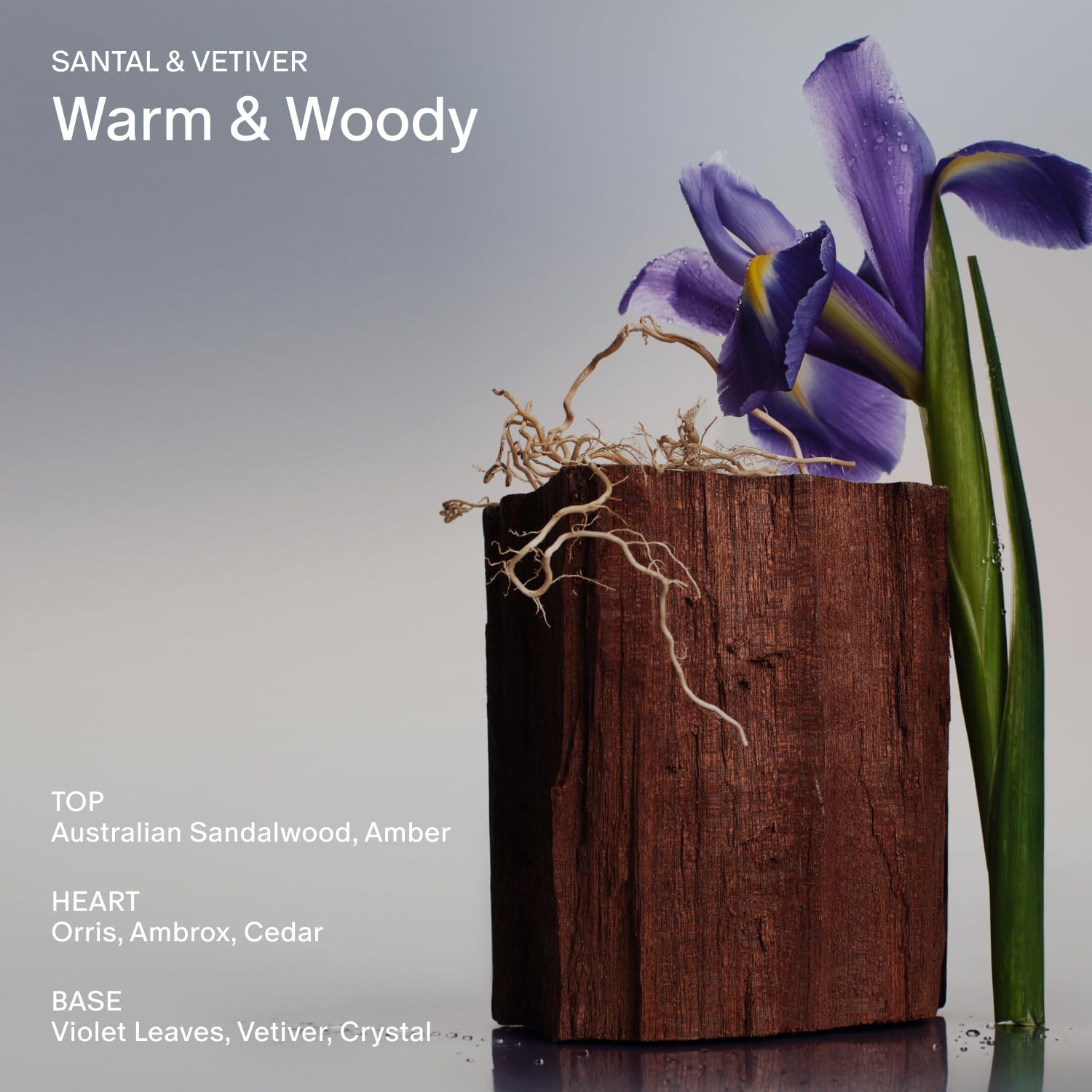 Experience Unmatched Freshness with Our Aluminum-Free Extra Strength Deodorant - 48 Hour Protection for All! Infused with Seaweed Extracts, Niacinamide & Prebiotics in Invigorating Santal & Vetiver Scent