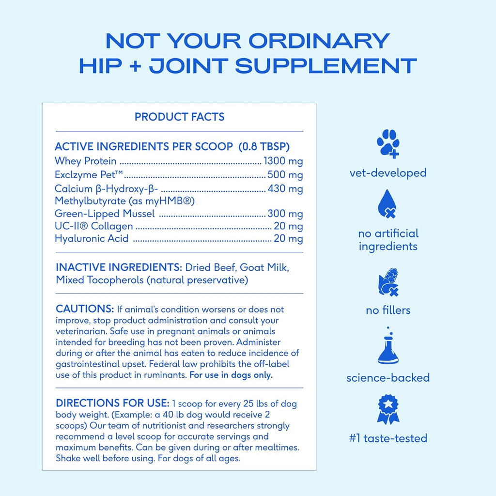 Advanced Care - Hip & Joint Supplement for Dogs - Supports Joints, Cartilage, Muscles & Anti-Inflammatory with HMB, UC-II Collagen, Green Lipped Mussel & Hyaluronic Acid - 30 Scoops