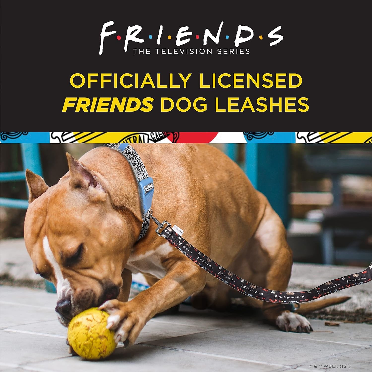 Friends TV Show City Doodle Dog Leash, 6 Ft (72 Inches) | Cute Blue Leash for Dogs & Harnesses